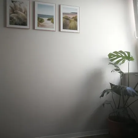 Appartementhaus Appartement Nienburg (Saxony-Anhalt)