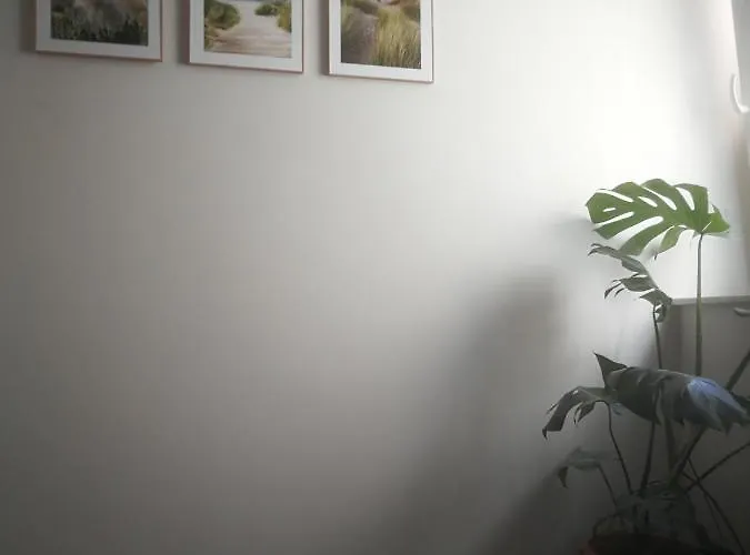 Appartementhaus Appartement Nienburg (Saxony-Anhalt)